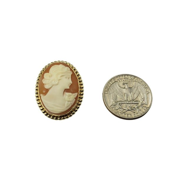 Vintage 10 Karat Yellow Gold Cameo Brooch/pendant #10316 - Etsy Vintage 10 Karat Yellow Gold Cameo Brooch/Pendant #10316
